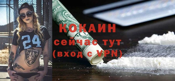 твердый Каменск-Шахтинский