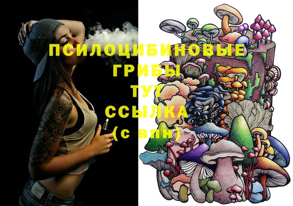 a pvp Каменногорск
