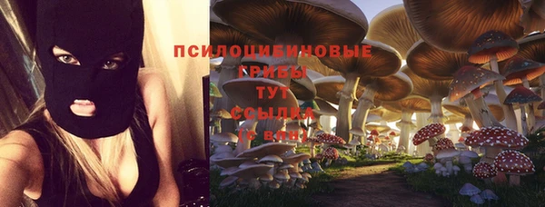 a pvp Каменногорск